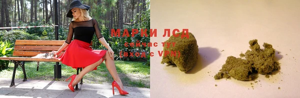 молекула духа Арсеньев