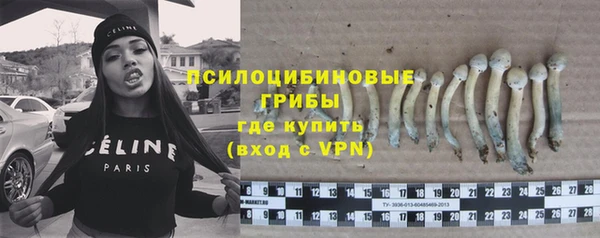 молекула духа Арсеньев
