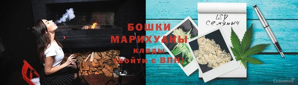 молекула духа Арсеньев