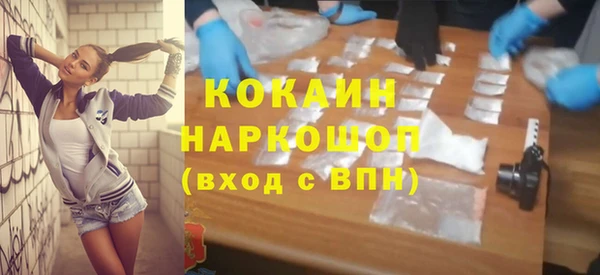 молекула духа Арсеньев