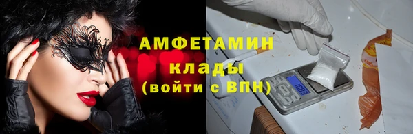 сатива Аркадак