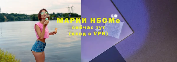 молекула духа Арсеньев