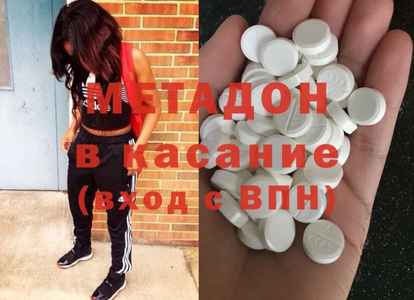 сатива Аркадак