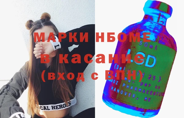 сатива Аркадак