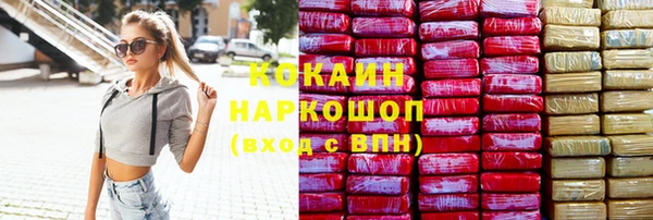 сатива Аркадак