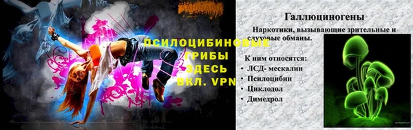 сатива Аркадак