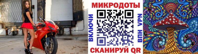где купить наркоту  Новоалтайск  Галлюциногенные грибы Psilocybine cubensis 